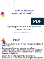 2005 PMBOK-resumen