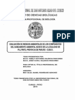 Tesis Riesgos Ambientales Pilpinto PDF