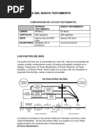 Panorama Del Nuevo Testamento Guia