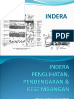 Histologi Indera Penglihatan, Pendengaran & Keseimbangan - DR Marissi