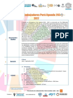 Programa de Embajadores Perú Agenda 203 - Documento Resumen