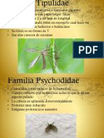 Diptera Taxonomia.pptx