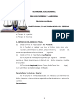 DERECHO PENAL Y PROCESAL PENAL.rtf