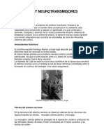 NEURONASYNEUROTRANSMISORES_1118.pdf