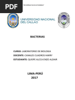 bacterias 