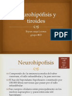 Neurohipófisis