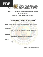 Informe de Puentes Visita A Obra Adubel