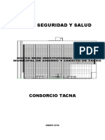 Passt Obra Caja 2010