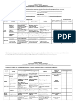 Programa de Trabajo Porcinos PDF