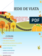 Medii de Viata