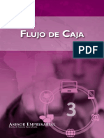 FLUJO DE CAJA.pdf