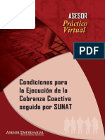CONDICIONES PA RA LA EJECUCION DE LA COBRANZA COACTIVA SEGUIDA POR LA SUNAT.pdf