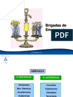 1-estructura-brigadas-1232215614176281-1.ppt