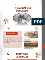 Patologias Del Concreto