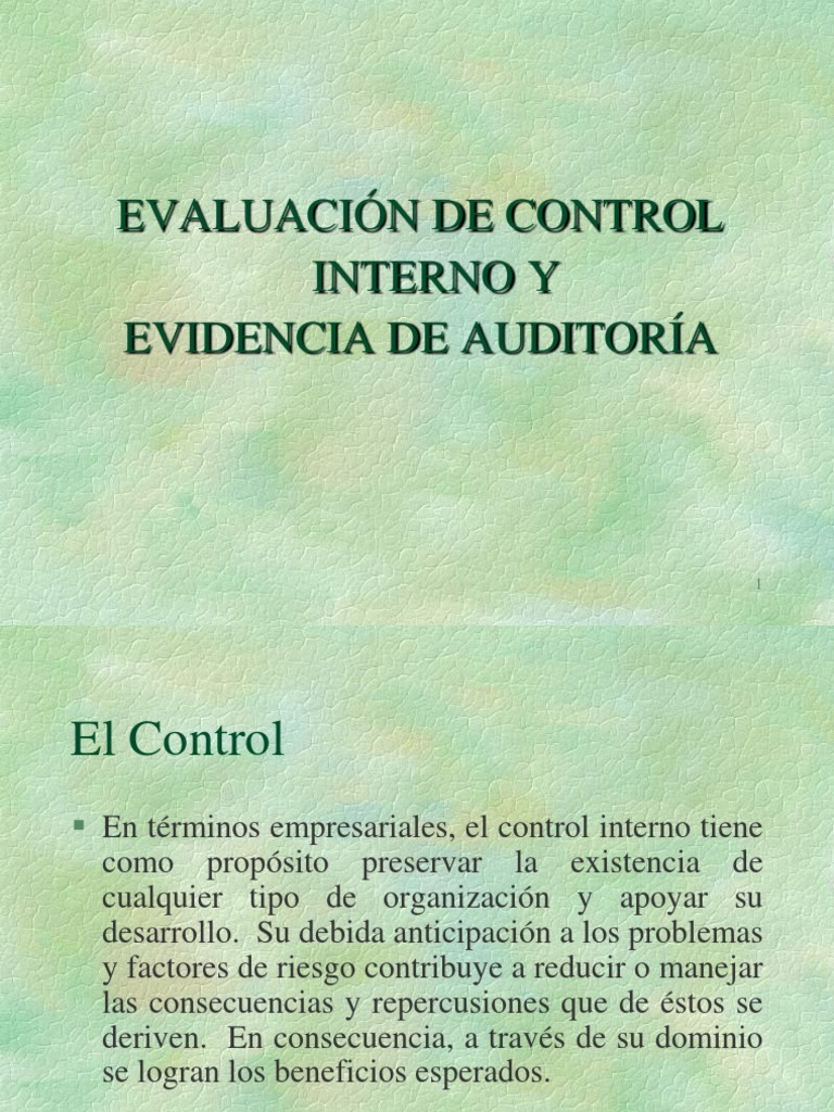 Evaluación Del Control Interno | PDF | Contralor | Contabilidad