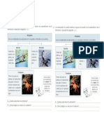 Clasificación de Invertebrados