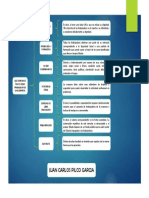 MAPA CONCEPTUAL.pptx