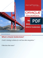 Welcome To Introduction Of: Oracle Goldengate