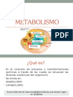 Metabolism o