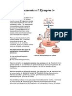 Homeostasis: equilibrio interno