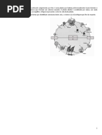 ficha sobre reprodução.doc