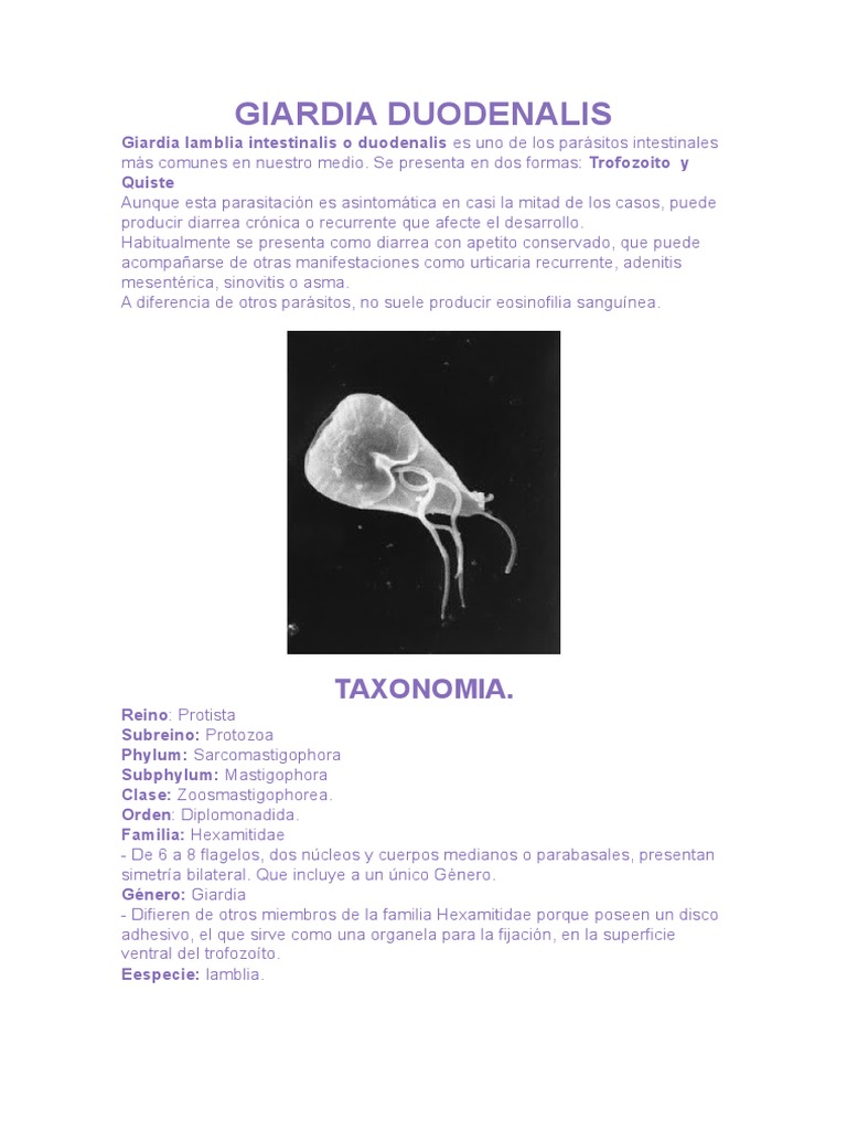 Giardia Duodenalis | PDF | Diarrea | Heces