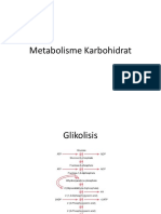 Metabolisme Karbohidrat