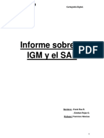 Informe Sobre El IGM y El SAF