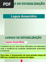 Lagoa Anaerobia