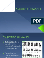 8va Clase Cariotipo Humano