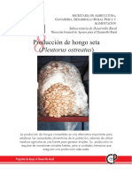 Producción de Hongo Seta.pdf