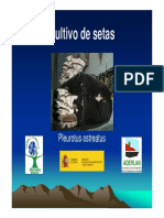 cultivo de pleurotus ostreatus.pdf