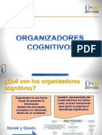 Organizadores Cognitivos II