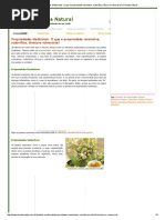 Propriedades Medicinais_ O Que é Propriedade Resolutiva, Sudorífica, Tônica e Vulnerária_ _ Receita Natural