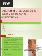 Anatomía Completa de la Nariz | PDF | Nariz humana | Anatomía