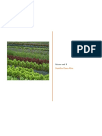 Cultivarea legumelor in sistem ecologic.docx