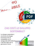 Sviluppo Sostenibile