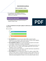 Insuficiencia Renal