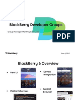 Blackberry 6 Developer Presentation - June 2010