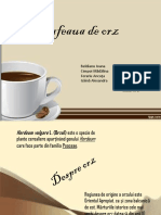 Cafeaua Din Orz