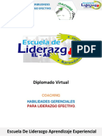 Informacion Diplomado HGLE