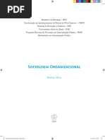 sociologia organizacional