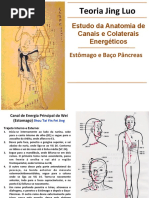 estmagobaopncreas-140727150852-phpapp02-160221212155