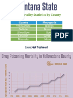 Montana State Drug Mortality Statistics by County