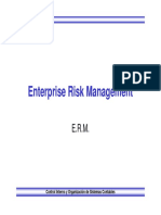 clase riesgos-ERM.pdf