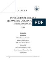 Informe Final de Microbiologia