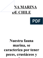 Fauna Marina de Chile
