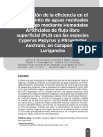 Articulo Carapongo PDF