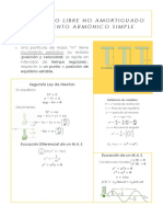 Resumen M.A.S