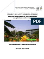 Modelo Peai PDF